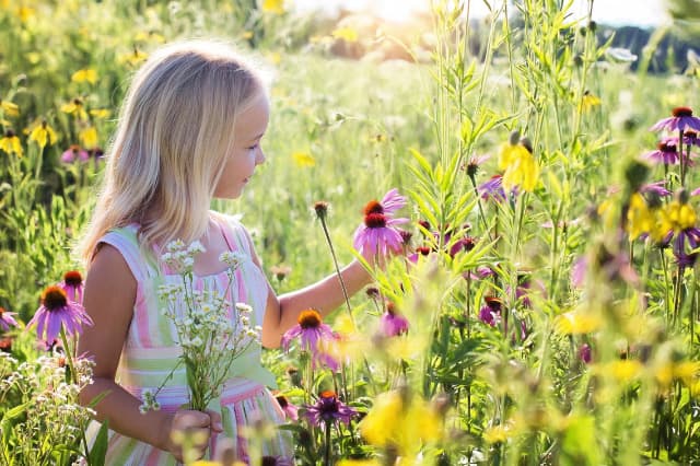 野の花を摘む小さな女の子。自然の中で穏やかなひとときを過ごすイメージ